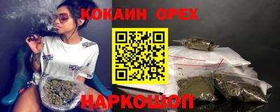 индика Кандалакша