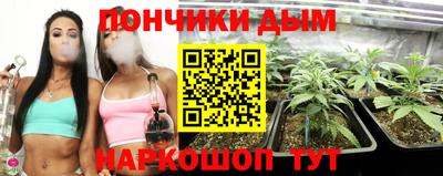 индика Кандалакша