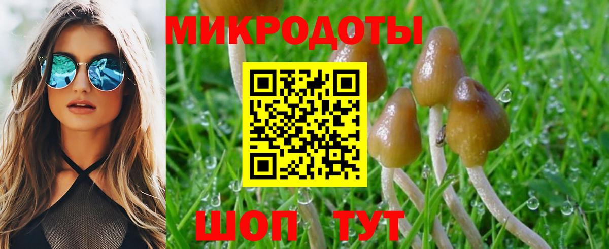 Галлюциногенные грибы ЛСД  Вход с VPN  магазин  наркотиков  Кулебаки 