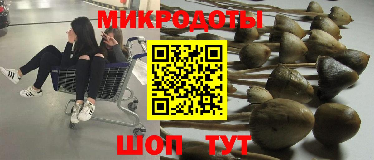 Галлюциногенные грибы Cubensis Кулебаки
